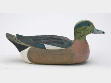 Widgeon, Richard Waguespack, Thibodaux, Louisiana.