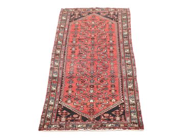 Hamedan Rug, 3'4" x 9'8"