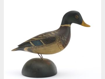 Miniature mallard, Anthony Hillman, Cape May Court House, New Jersey