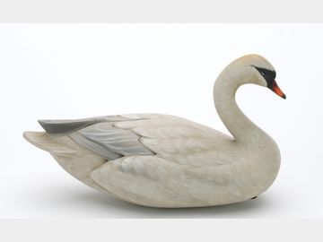 Miniature swan, Sean Sutton, Paulsboro, New Jersey