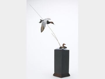 Miniature flying canvasback, Jeff Krete, Cambridge, Ontario