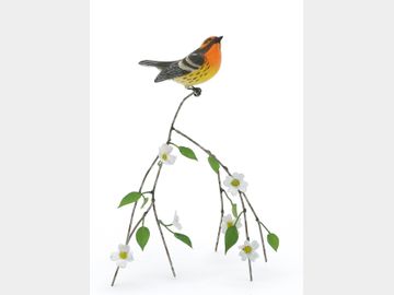 Miniature black burnian warbler, Richard Snyder, Pottstown, Pennsylvania