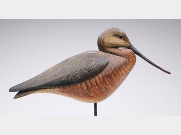 Godwit, William GIbian, Onancock, VIrginia.