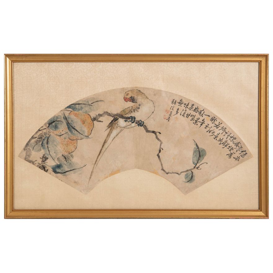 夏荃   鸚鵡扇面鏡框 A Chinese fan painting of parrot, signed Xia Quan (Chinese)
