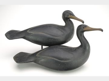 Pair of cormorants, Reggie Birch, Chincoteague, Virginia.