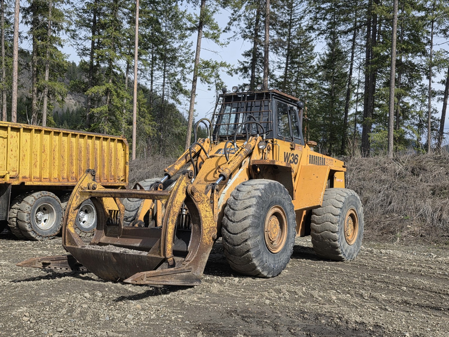 1978 Case W36 Wheel Loader (Inoperable) [26EM53002-033] | Team Auctions