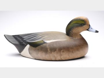 Widgeon, Sean Sutton, Paulsboro, New Jersey