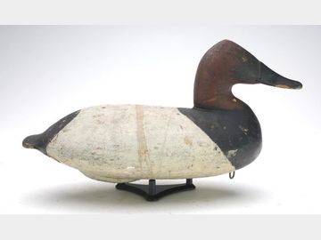 Canvasback, William Heverin, Charlestown, Maryland