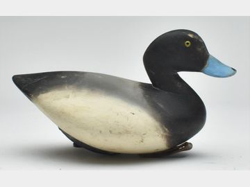Bluebill, Pete Peterson, Cape Charles, Virginia