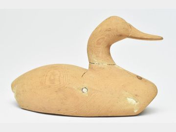 Unfinished canvasback, Duncan Ducharme, St. Ambroise, Manitoba, Canada