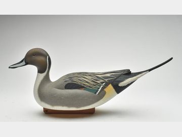 Pintail, Jimmie Vizier, Galliano, Louisiana
