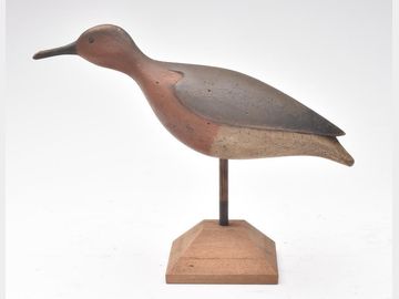 Red knot, George Strunk, Glendora, New Jersey