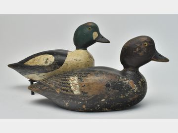 Pair of goldeneyes, Robert Paquette, Verdun, Quebec.