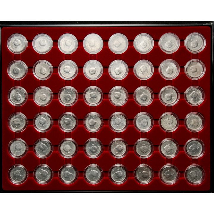 Singapore 1971 5cents (Fish) Total 48pcs with Good Looking Display casing UNC-BU