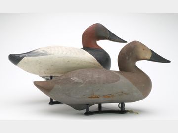 Pair of canvasbacks, Madison Mitchell, Havre de Grace, Maryland.