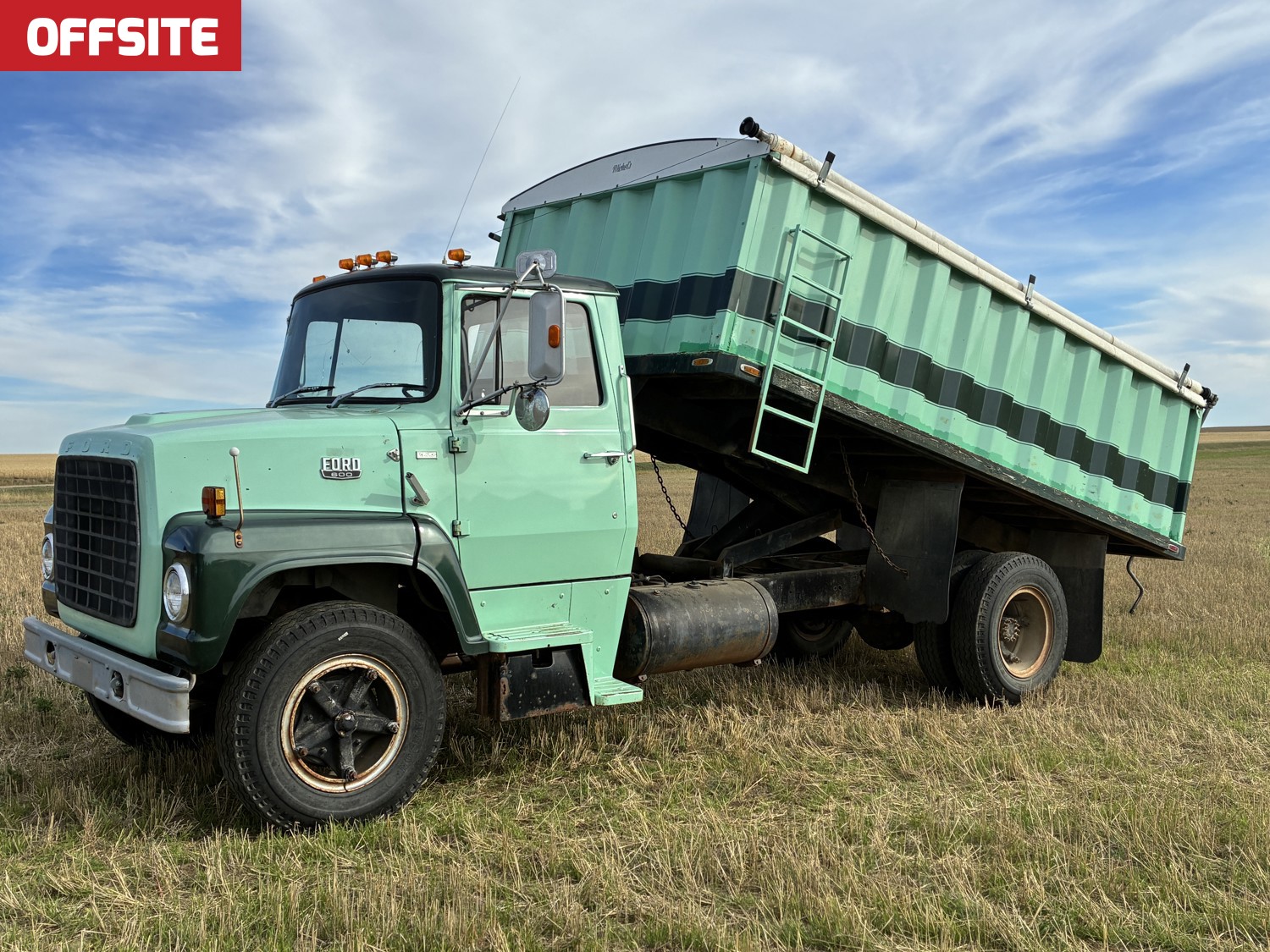 1980 Ford 600 S/A Day Cab Grain Truck [26JB52002-004] | Team Auctions