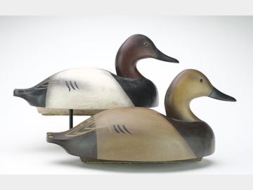 Pair of canvasbacks, Wildfowler Decoy Factory, Old Saybrook, Connecticut.
