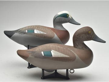 Pair of widgeon, Madison Mitchell, Havre de Grace, Maryland