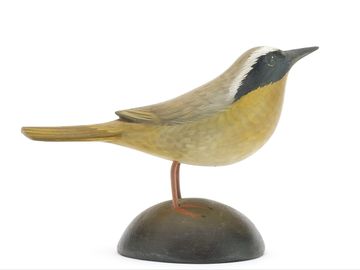 Yellow-throated warbler, George Strunk, Glendora, New Jersey
