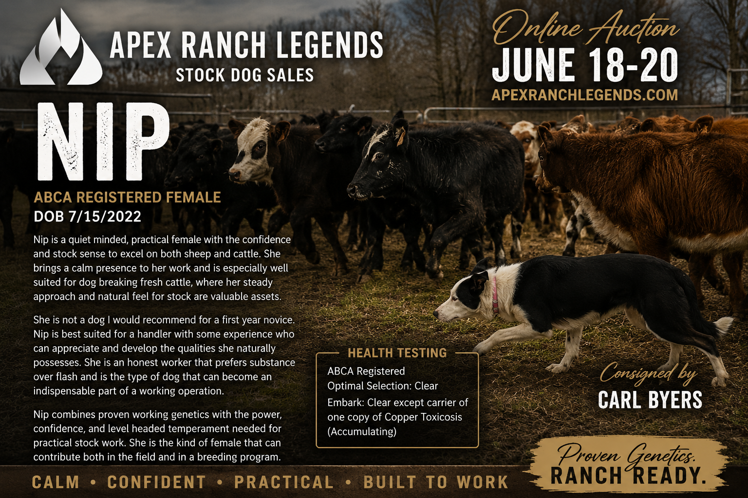 Nip | Apex Ranch Legends