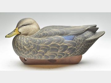 Black Duck, Rick Johannsen, Port Clinton, Ohio
