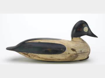 Goldeneye, Bob Seabrook, Absecon, New Jersey.