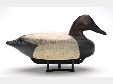 William S. Johnson (21st century), Virginia Beach, Virginia.