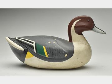 Pintail, Adam Pape, Floriscant, Louisiana