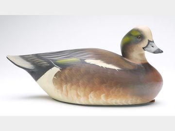 Widgeon, Sean Sutton, Paulsboro, New Jersey.