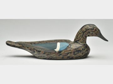 Blue wing teal, Xavier Bourg, Larose, Louisiana, circa 1950