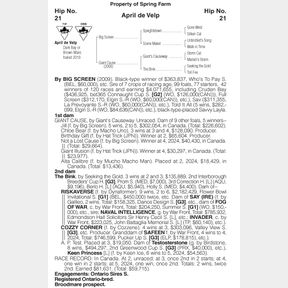 Horse of Racing Age April de Velp (2019) (Broodmare Prospect)