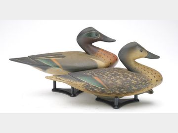 Pair of green wing teal, Pete Peterson, Cape Charles, Virginia.