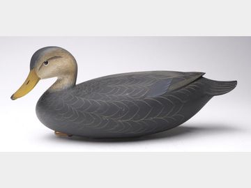 Black duck, George Strunk, Glendora, New Jersey