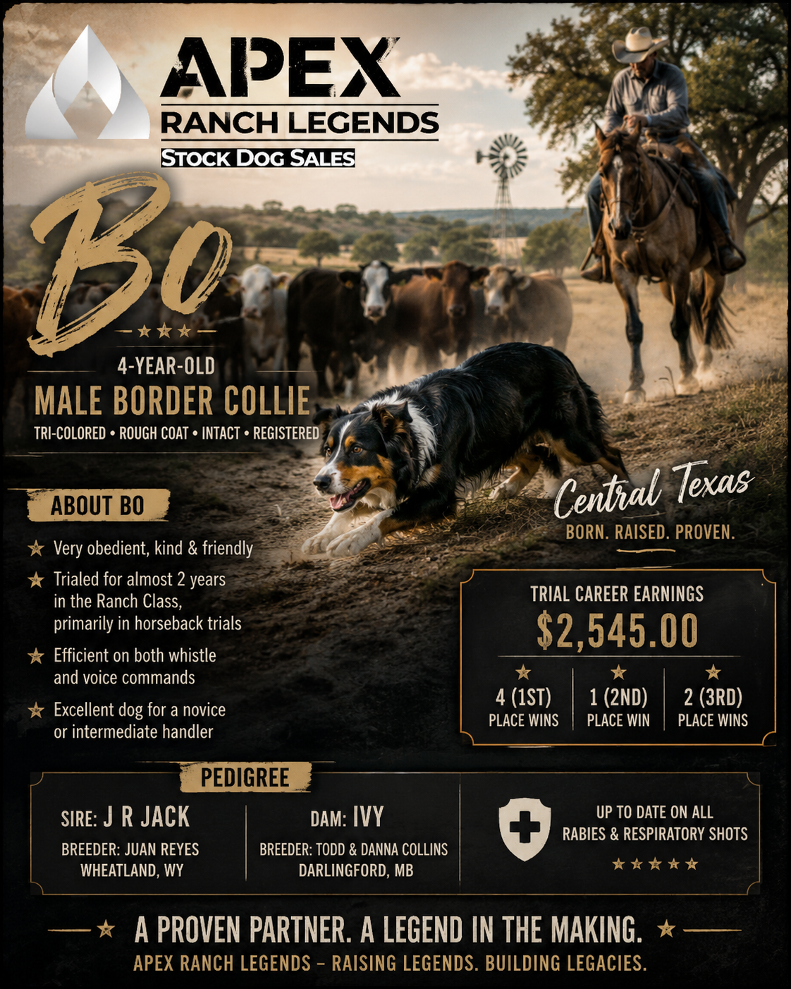 Bo | Apex Ranch Legends