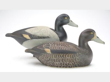 Pair of bluebills, Hector 'Heck' Whittington, Oglesby, Illinois.