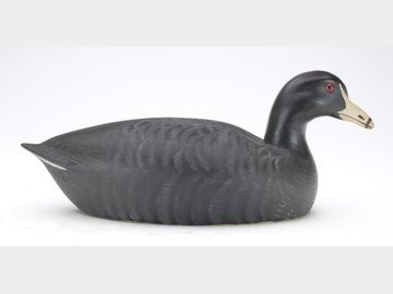 Coot, Hector 'Heck' Whittington, Oglesby, Illinois.