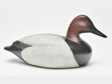 Canvasback, John McLoughlin, Bordentown, New Jersey