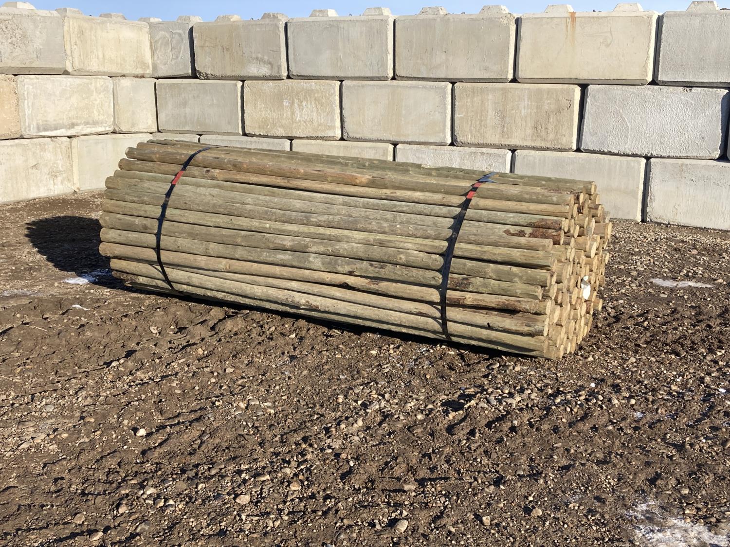 Jump Rails Treated (150) 2 - 3 Inch X 10 Ft Treated Fence Rail (Unused) [24CA03993-015 ...