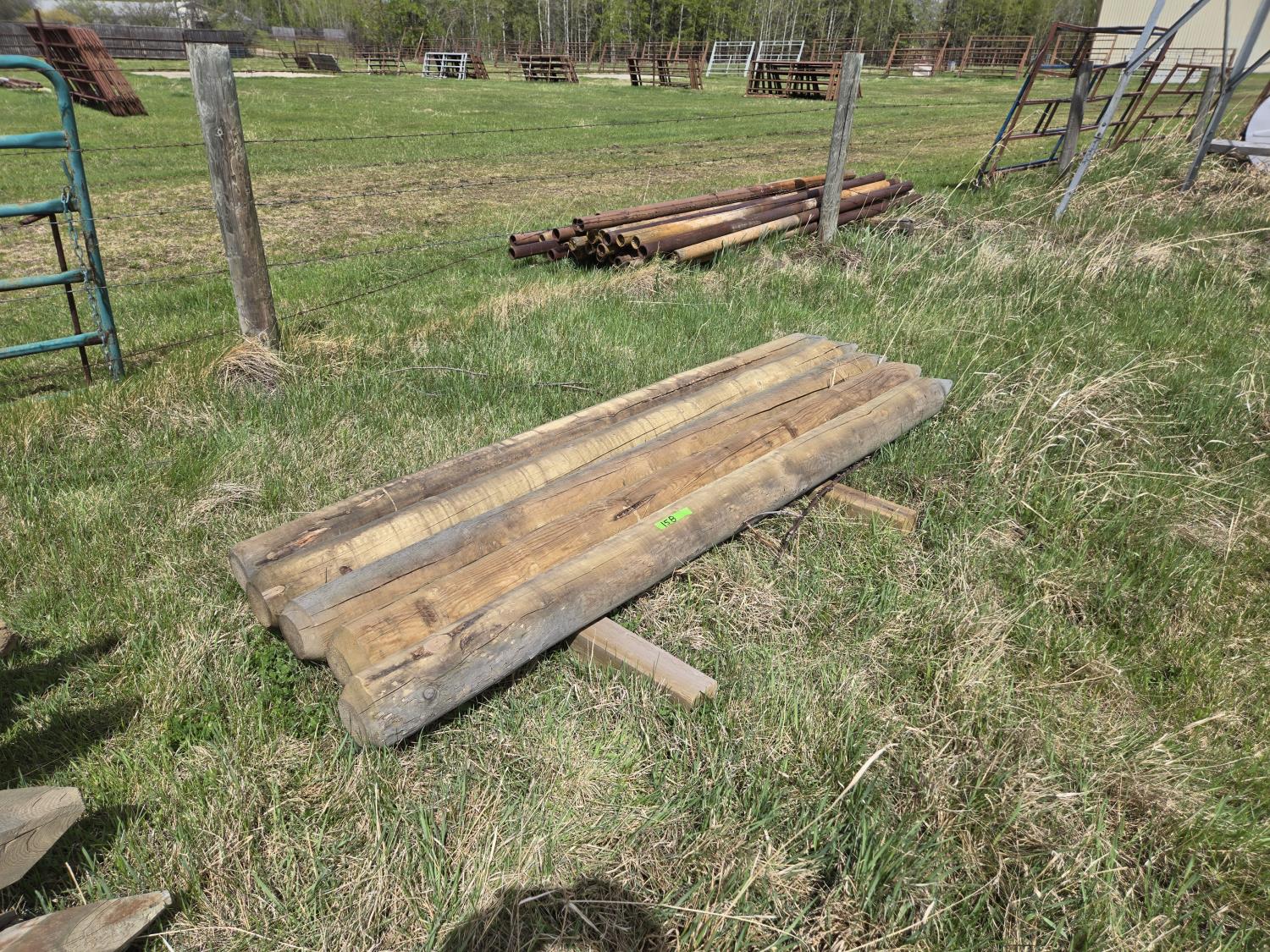 (5) 5-6 Inch X 8 Ft Treated Posts (Unused) [24FH08001-158] | Team Auctions