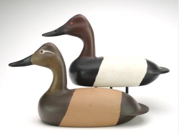 Pair of canvasbacks, John McLoughlin, Bordentown, New Jersey.