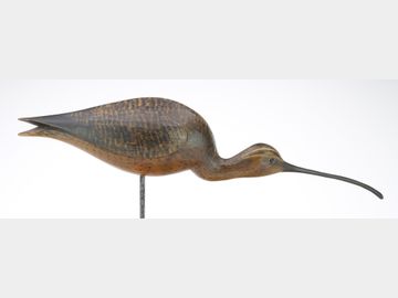 Curlew, Mark McNair, Craddockville, Virginia