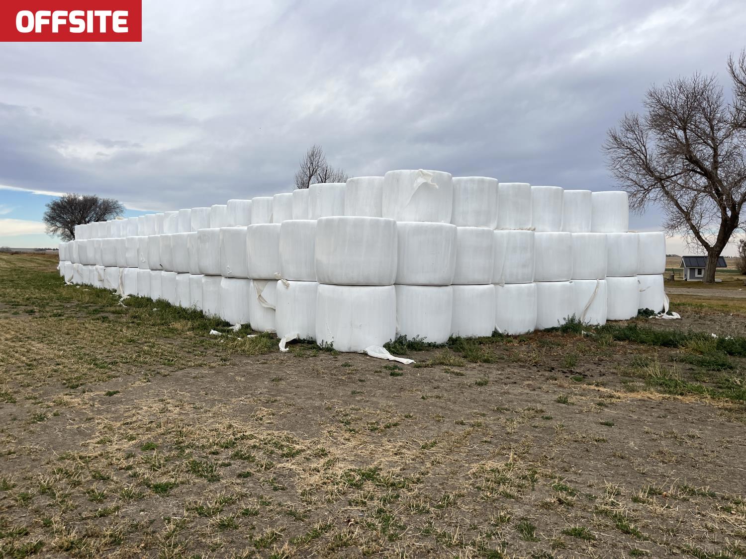 Qty of (10) Silage Bales [25KI02111-009] | Team Auctions