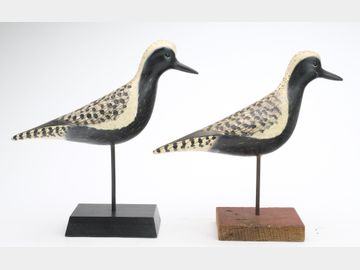 Two plovers, Pete Peterson, Cape Charles, Virgina