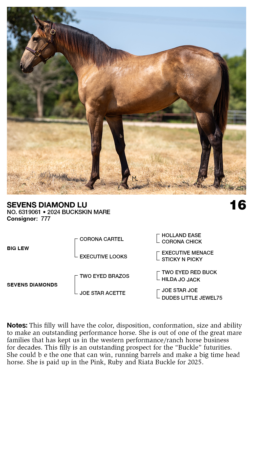 SEVENS DIAMOND LU | Wier Ranch