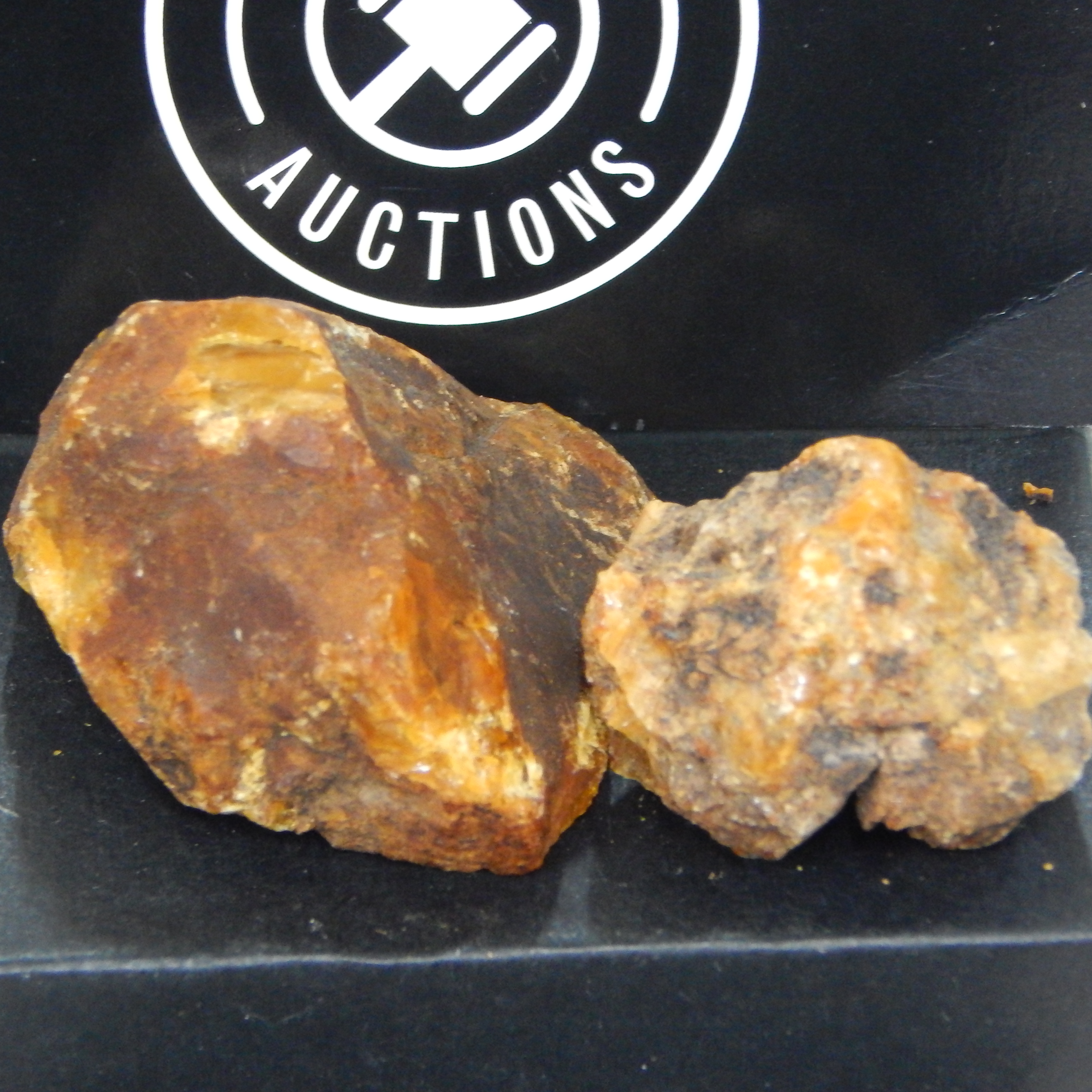 2 pc Kauri Gum — sold at auction in New Zealand for $15
