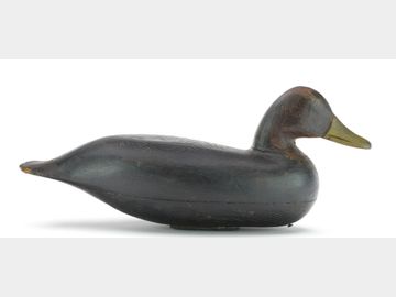 Black duck, Charles McCoy, Tuckerton, New Jersey