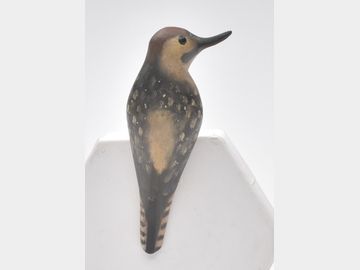 Sap sucker, Pete Peterson, Cape Charles, Virginia