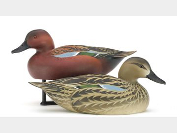 Pair of cinnamon teal, Oliver Lawson, Crisfield, Maryland.