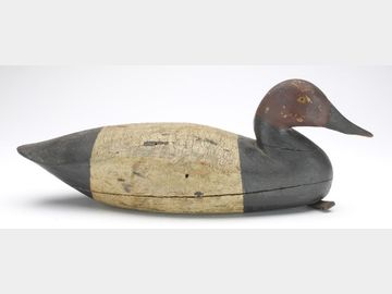 Rare canvasback, Joe King, Manahawkin, New Jersey, last quarter 19th century.