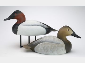 Pair of canvasbacks, Oliver Lawson, Crisfield, Maryland